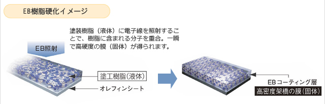 EB樹脂硬化イメージ